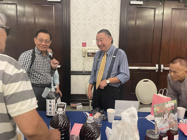 为荔枝树结果 华人用牛奶浇灌