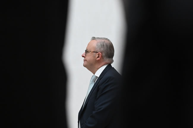 艾班尼斯：澳洲鬆绑美牛肉进口 并非川普促成