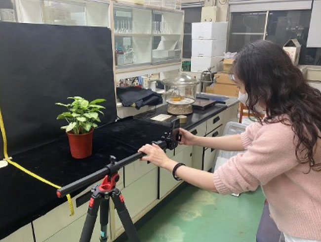 改善室内空气品（麻将群）质 选对12种绿植盆栽提升生活品质