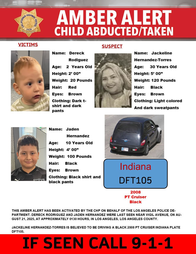 生母将两男孩从养父母家绑走 加州警发安珀警报