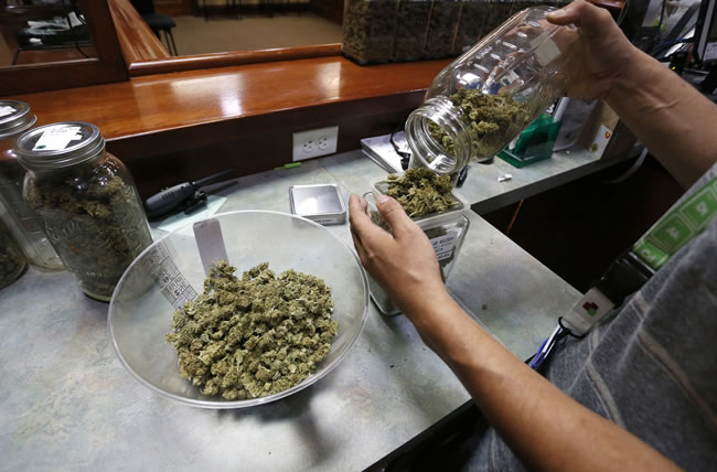 川普政府考虑进一步开放大麻 归类为低危险药物