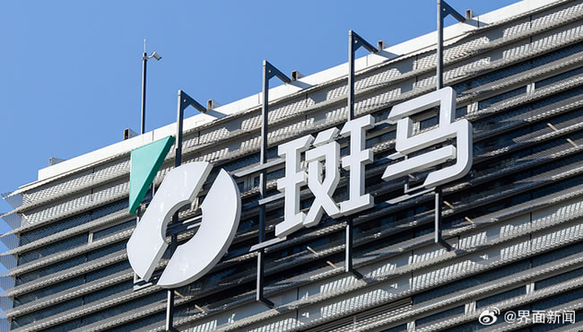 阿里分拆自驾软体「斑马网络」赴港上市 未来仍持股逾3成