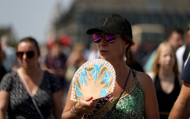 西瓜比运动饮料更补水 12种天然清凉食物