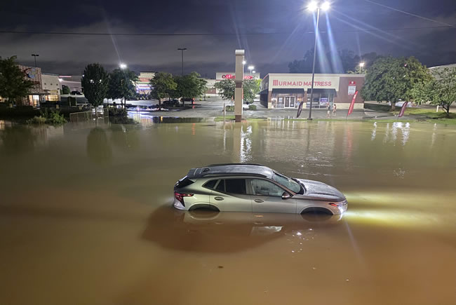 豪雨来袭大树倒下 田州一家三口车里被压死