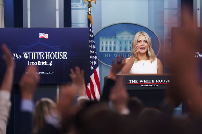 白宫：商务部正在敲定取得英特尔10%股权的细节