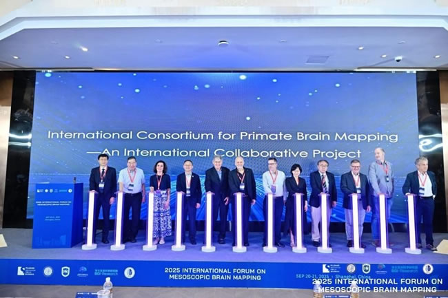 中国绘製高清「大脑地图」 大科学计画3目标