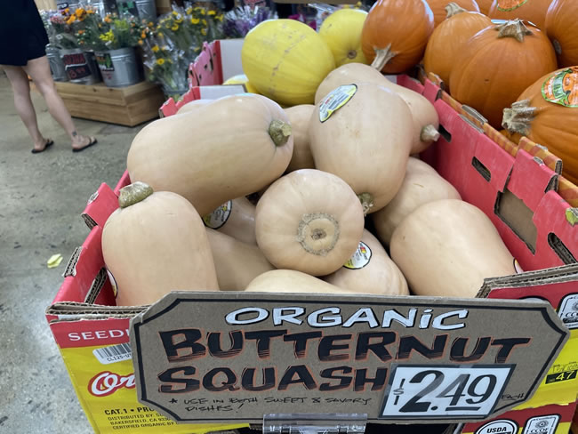 Trader Joe's这些南瓜 最符合华人口味