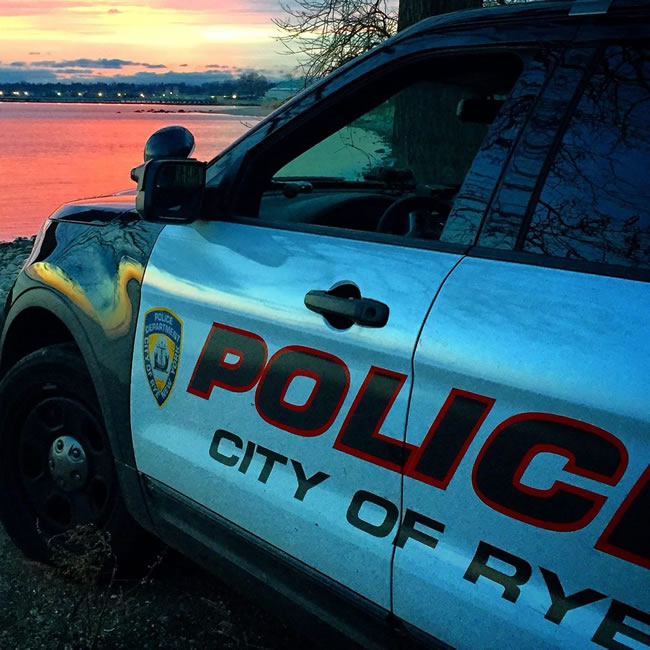 法拉盛6旬男涉持多州假（一元一分麻将群）驾照 2度被捕