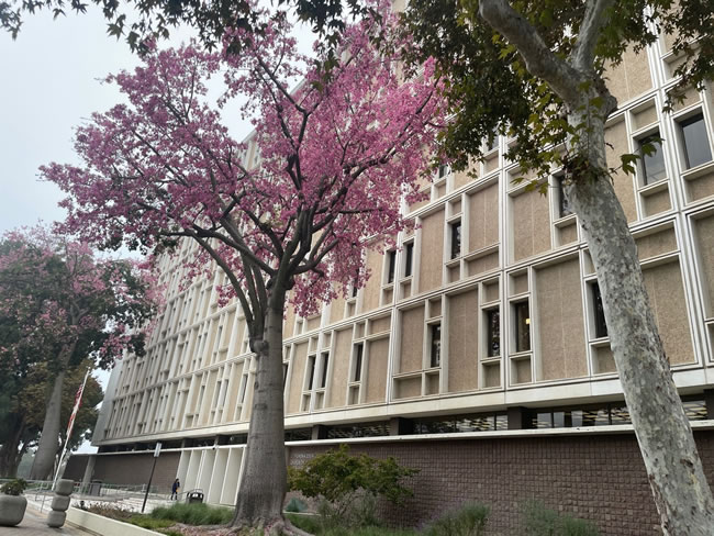 独／华女武士刀杀妻 变性引悲剧（一元一分红中麻将群）？