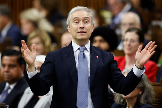 加拿大财长：G7可望降低对中国稀土依赖