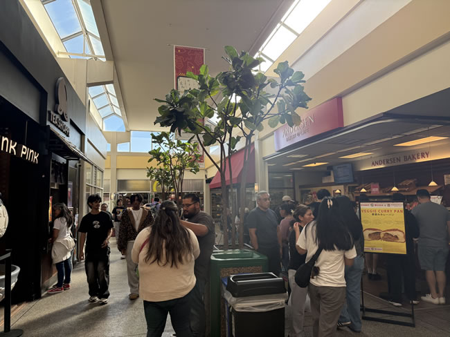 旧金山日本城（一元一分麻将群）人气爆棚　年轻族群周末涌入打卡